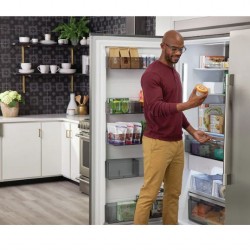 Frigidaire Professional 19 Cu ft Upright Freezer- S/Steel