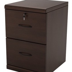 2- Drawer Expresso Vertical File Cabinet