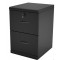 2- Drawer Black Vertical File Cabinet