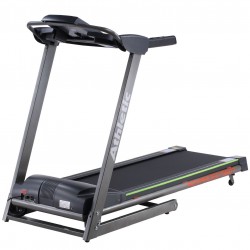 Treadmill Athletic 560T