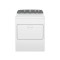 Whirlpool 21kg Gas Dryer with Xpert Dry Sensor